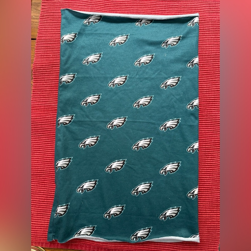 Philadelphia Eagles Neck Warmy Thing!!